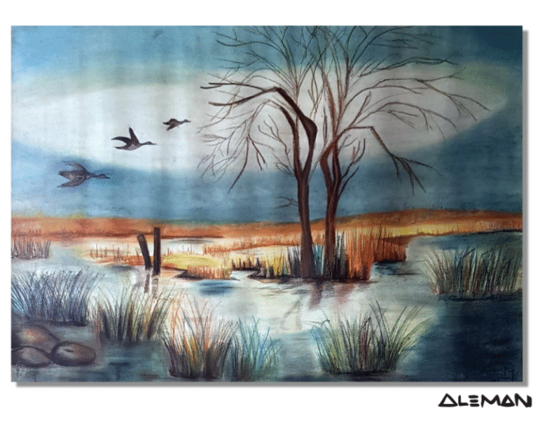galery5